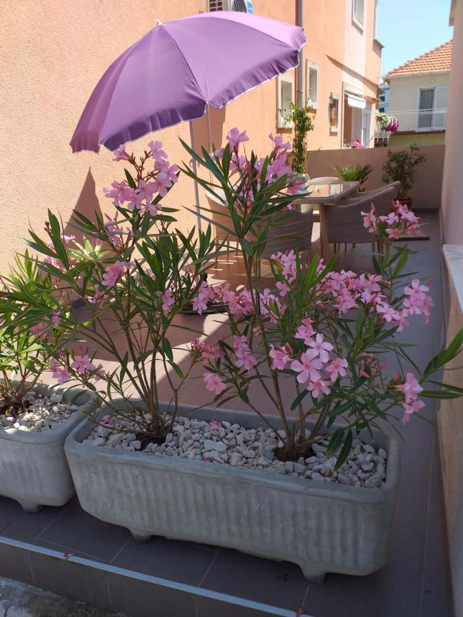 Apartment Yelena Rose West Zadar Eksteriør billede