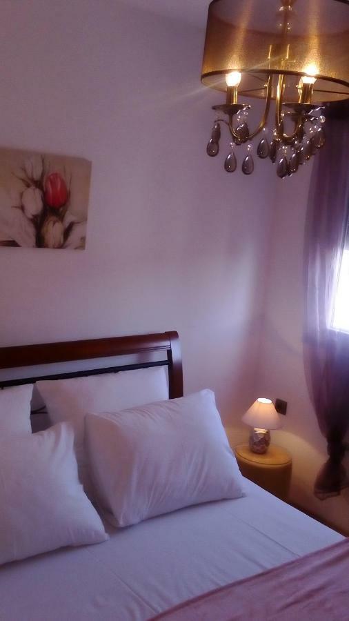 Apartment Yelena Rose West Zadar Eksteriør billede