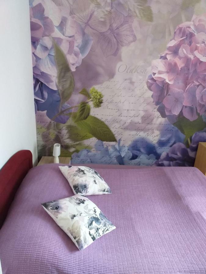 Apartment Yelena Rose West Zadar Eksteriør billede