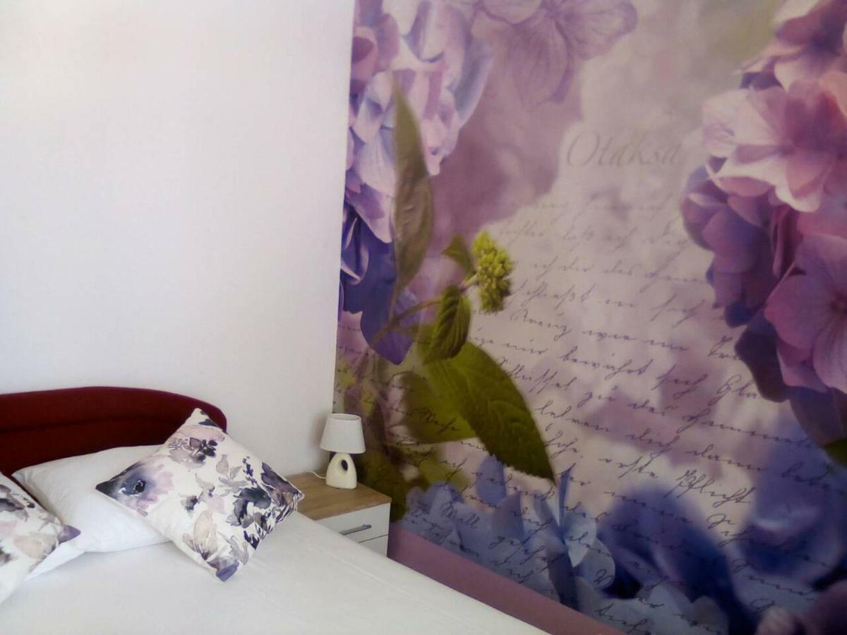 Apartment Yelena Rose West Zadar Eksteriør billede